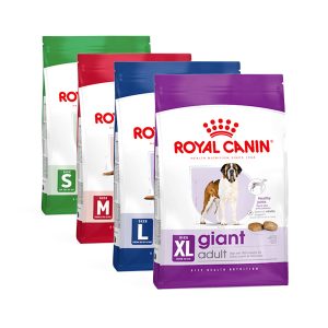 Original Royal Canin Adult dog food 7-12 + years old