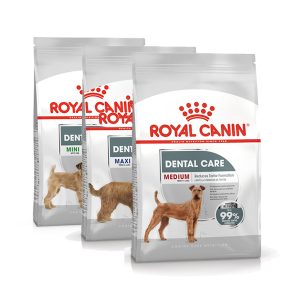 Original Royal Canin Dog food